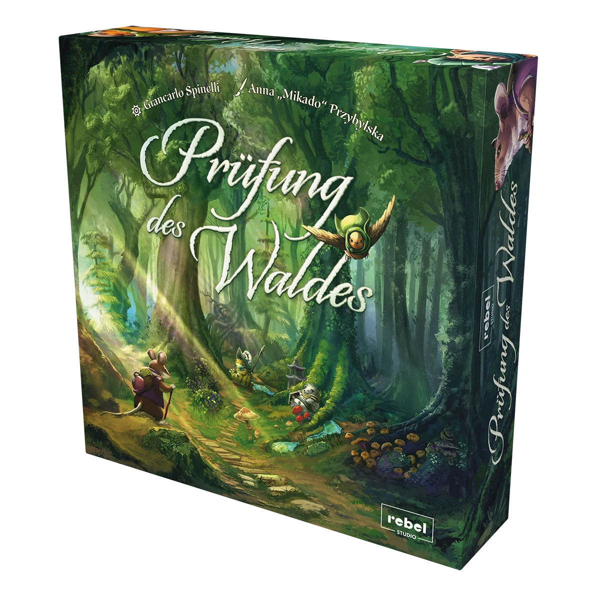 Prüfung des Waldes Box
