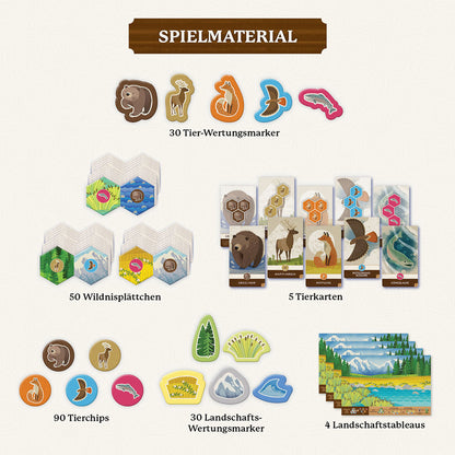 Cascadia Junior Spielmaterial