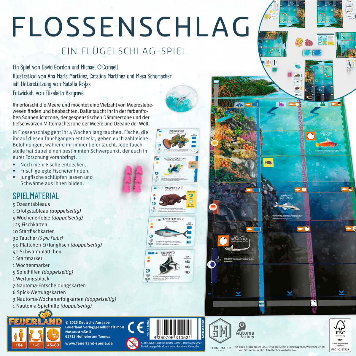 Flossenschlag Rückseite