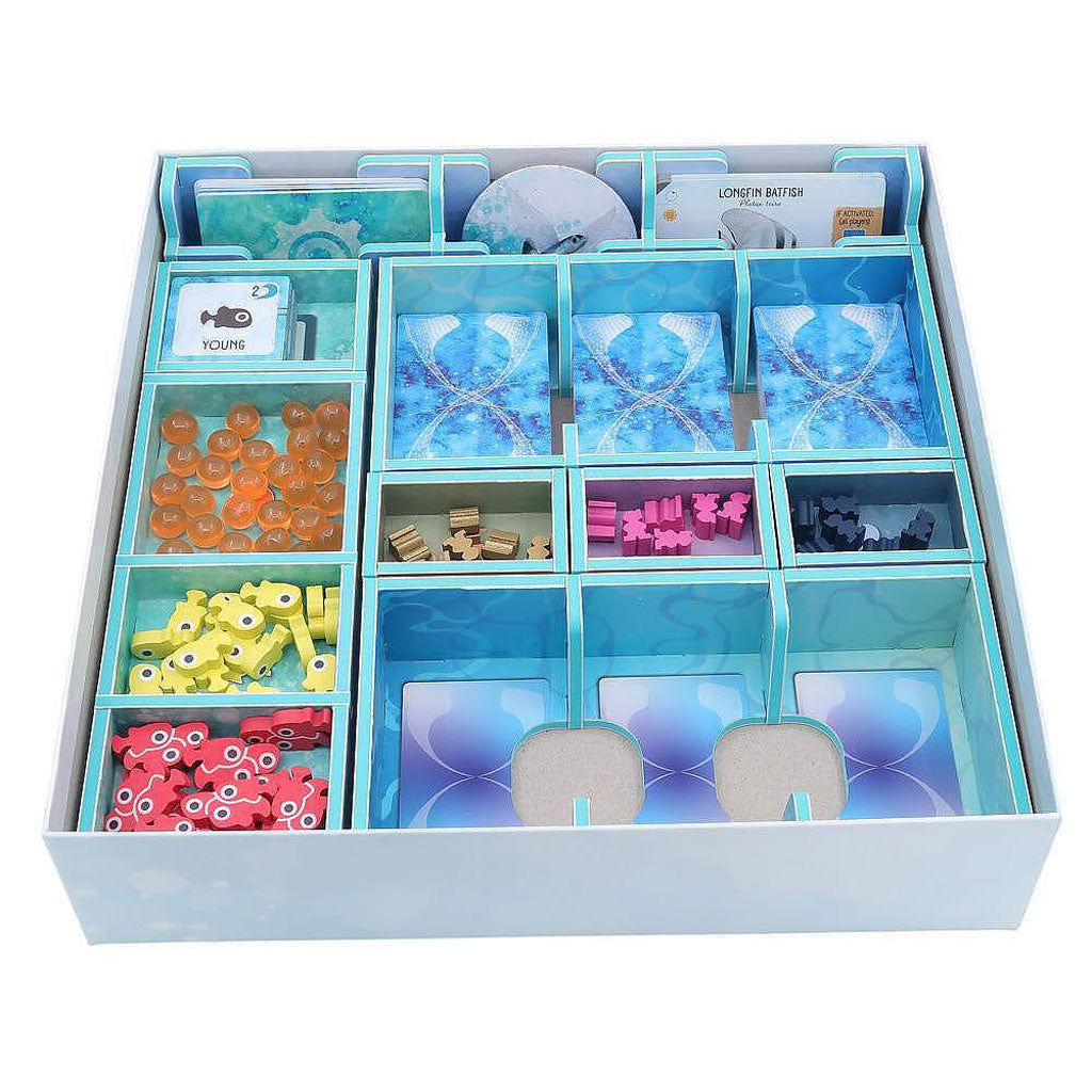 Folded Space Insert: Flossenschlag