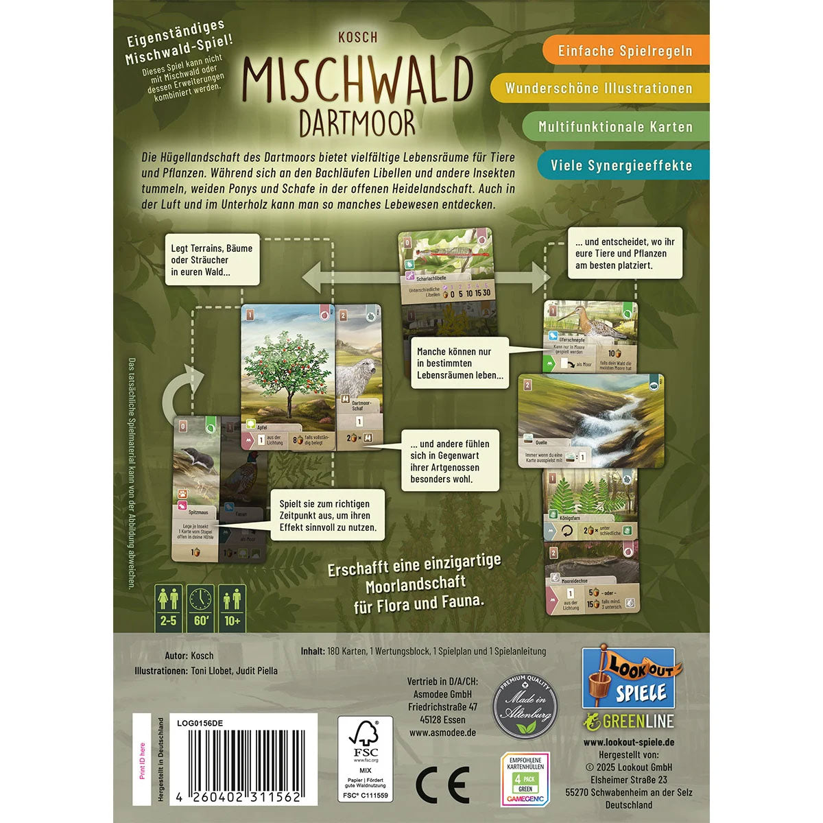 Mischwald - Dartmoor Rückseite